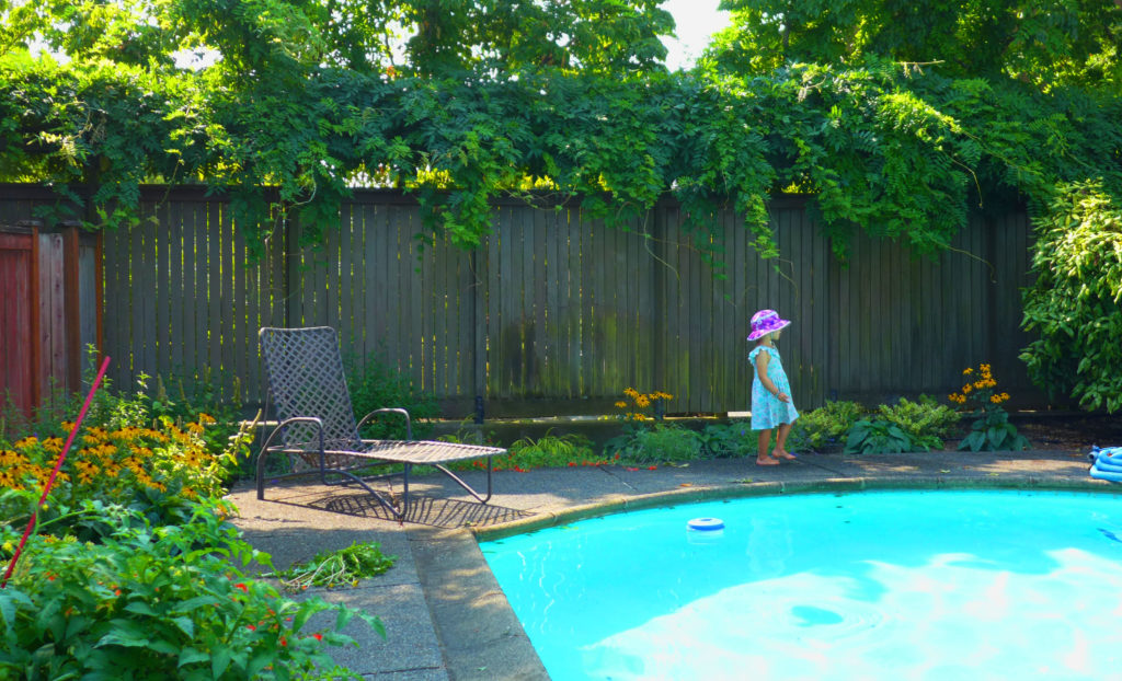 Poolside Planting