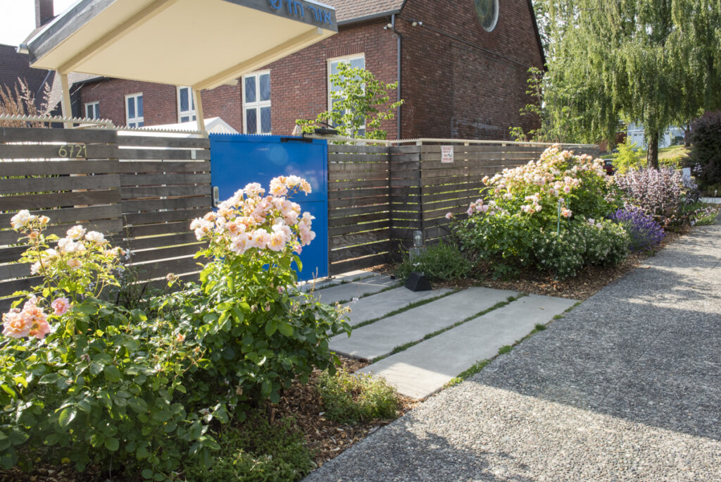 Synagogue Garden